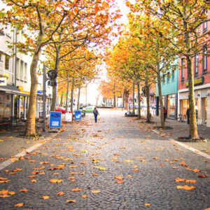 Fall in Mainz