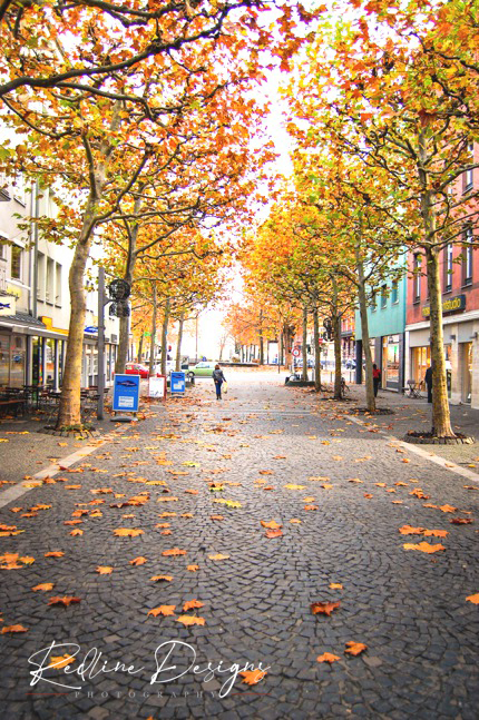 Fall in Mainz