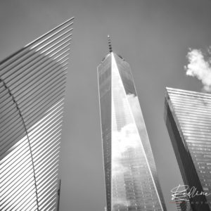 WTC in Black & White